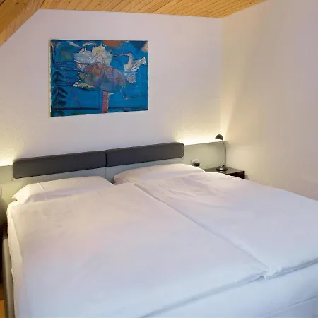 Schweizerhof 133 Апартаменты Ленцерхайде